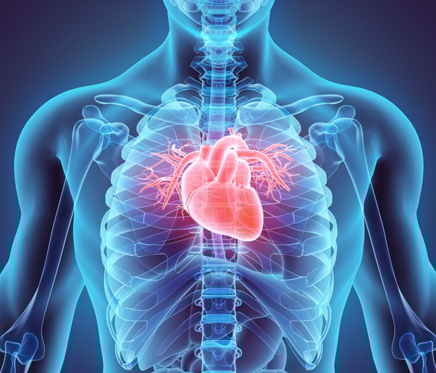 February Heart Month Recap.jpg